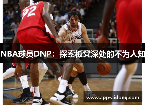 NBA球员DNP：探索板凳深处的不为人知